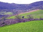 Photo Octon ND de Roubignac 006.jpg